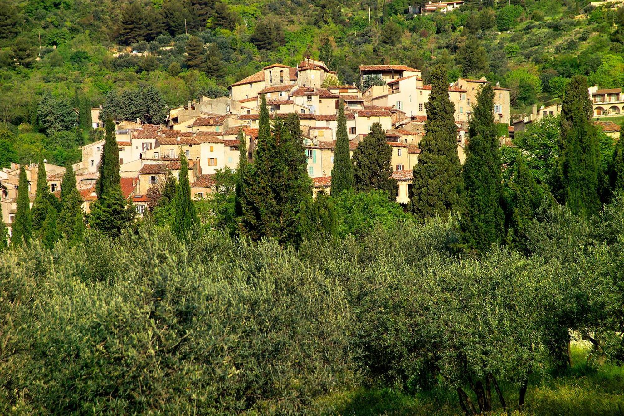 Hotel Restaurant Des Deux Rocs Seillans Bagian luar foto